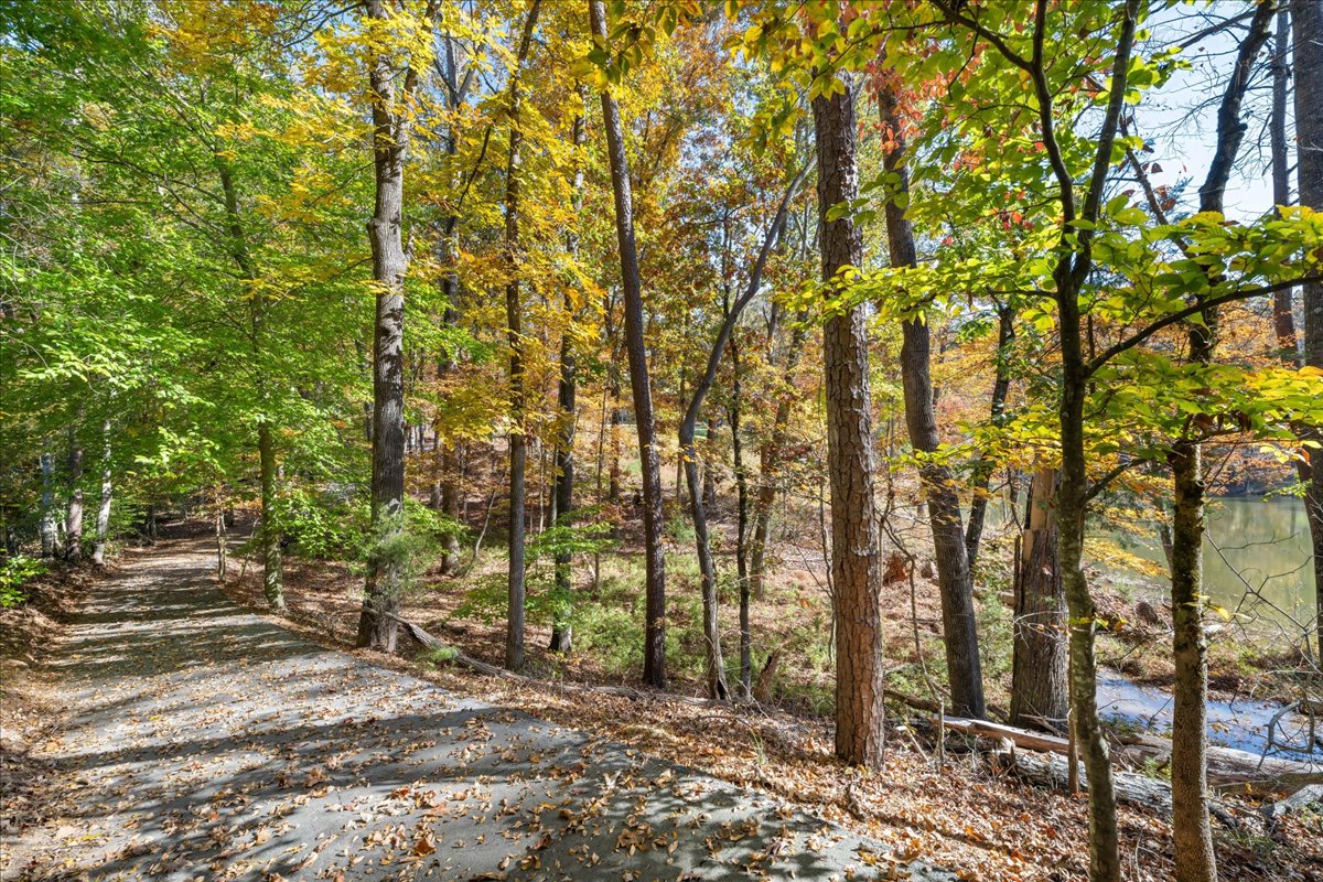 The House — lakeside path in autumn